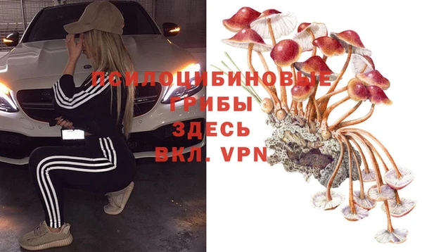 Альфа ПВП Алексеевка