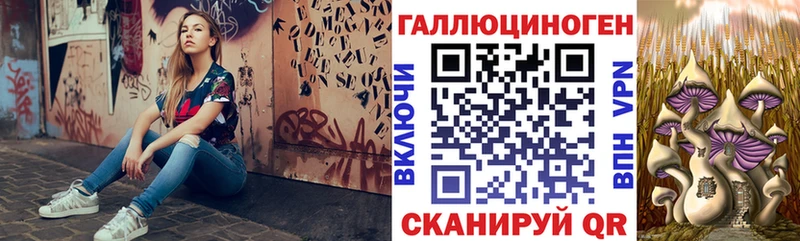 Псилоцибиновые грибы мицелий Цимлянск
